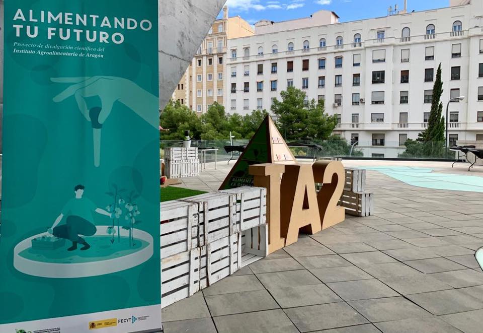 letras de carton para eventos